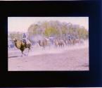 A Camel Caravan