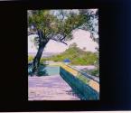 [Untitled]