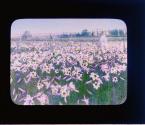 [Untitled]
