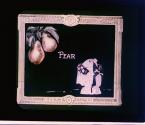 (Organ Novelty) Pear
