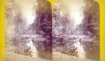 Stereographs of Watkins Glen