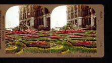 Flower Gardens and City Hall, St. Louis
