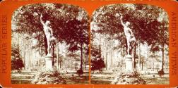 [Forsyth Park]