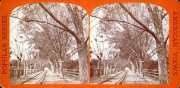 Rail-Road Avenue.