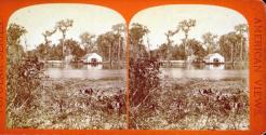 Silver Springs, General View.