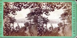 Road by the Pond to Torn Mountain, Valley of the Ramapo.