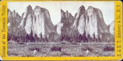 Cathedral Rocks and Spires, 2670 feet high. View from the Meadows.
