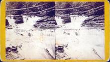 Forest Fall (Front View), Buttermilk Ravine, Ithaca, N.Y.