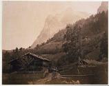 View at Gruidelwald