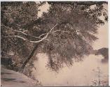 Lake Lede, Susas Bay