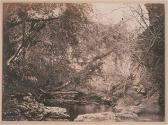 [Pond in the woods]
