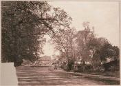 Wilford Green, Notts.