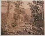 Wood cutting in the Highlands