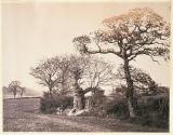 View in Mount Pleasant Fields, Hornsey