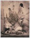 [Still life - birds]