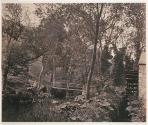 On the Wye, Ashford