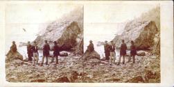 Niagara. The Horse Shoe Fall from the Ferry.