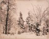 [Landscape with snow]