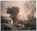 [Landscape scene]