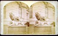 The Dying Lioness.