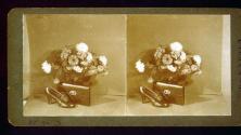 [Commercial still life in Will Connell's studio]