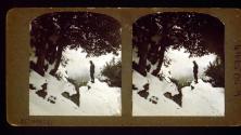 [Wally Clendenen, snow trip to Mt. Wilson area, California]