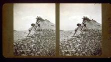 [Wallace Clendenen and Steve Hansen on rocks with cameras on tripods]