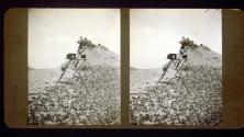 [Wallace Clendenen and Steve Hansen on rocks with cameras on tripods]