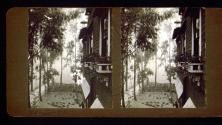 View from Wallace Clendenen's house, Quintero Avenue, Los Angeles