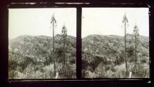 [Vasquez Rocks, California]