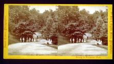 The Drive, Lemon Hill.