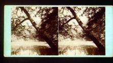 Along the Wissahicken, Philadelphia