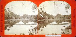 Southern Scenery