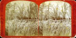 Passaic Falls & Vicinity - Ice Formation near Bridge