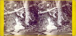 Caldeno Creek