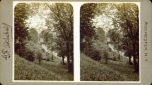 [Landscape]