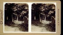 Portage / Sulpher Spring in Letchworth park