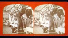 [Salon exhibition with taxidermy bear and buffalos]