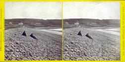 Bideford-Westward Ho. The Pebble Ridge