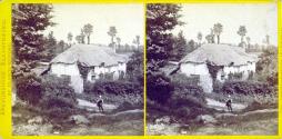 Exmouth-Cottage at Littleham