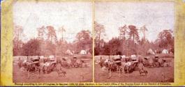 Light Wagon Train attached to Headquarters Army Potomac