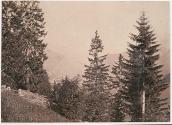 Monte Curta from Buchenstein