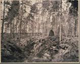 [Woods]