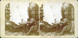 Reveries of a Bachelor