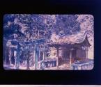 [Untitled]