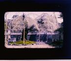 [Untitled]