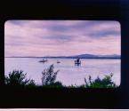 [Untitled]