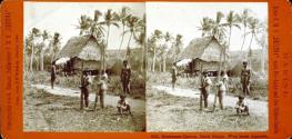 Marianen-Inseln. Insel Guam.  Weg nach Aganna.
