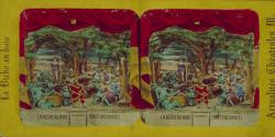 Metamorphose - Foret Enchantee