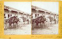 "Dos Cargas" Two loads